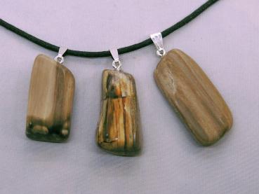 Versteinertes Holz mit Silberöse